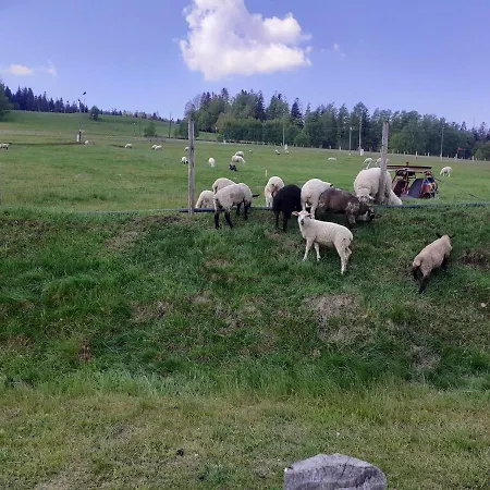 Spokojny Klimat W Wisle Apartmán