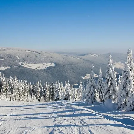 Spokojny Klimat W Wisle Appartement *