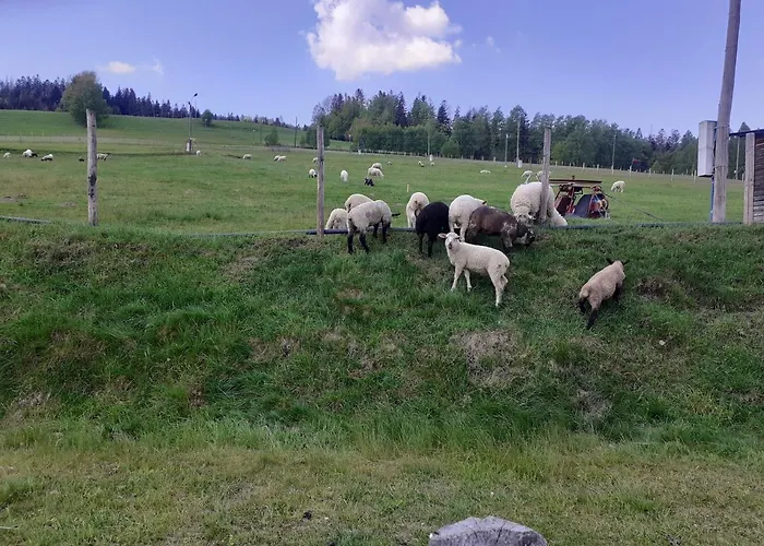 Spokojny Klimat W Wisle 아파트