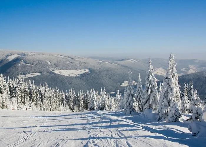 Spokojny Klimat W Wisle Apartment *