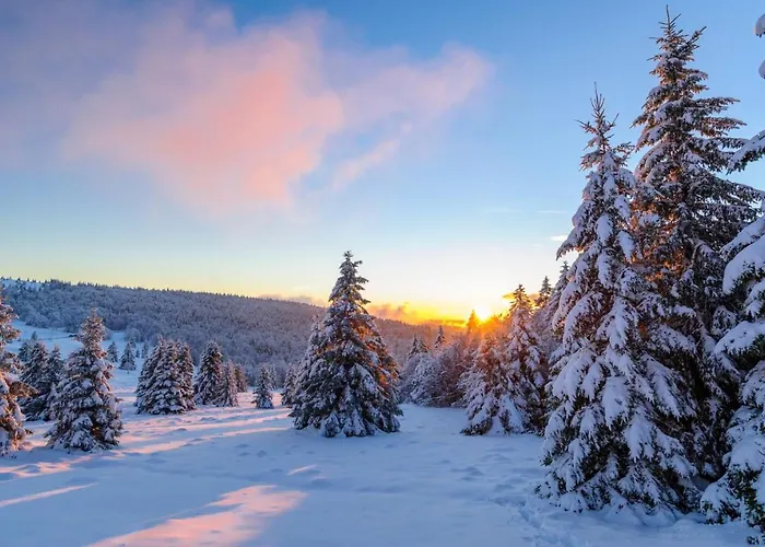 Spokojny Klimat W Wisle Wisla