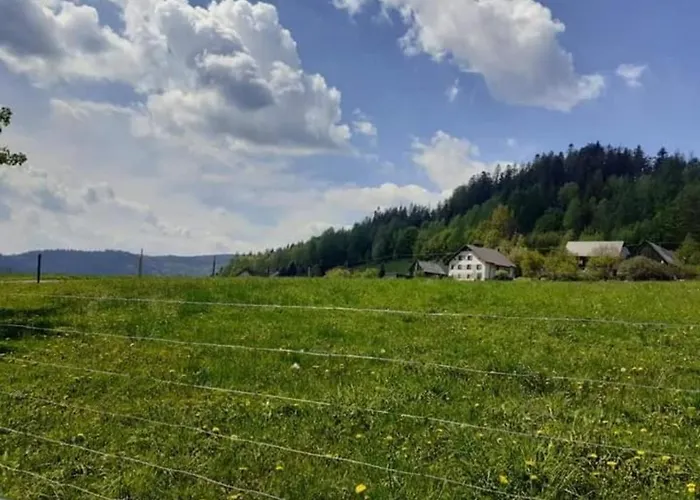 Apartment Spokojny Klimat W Wisle *